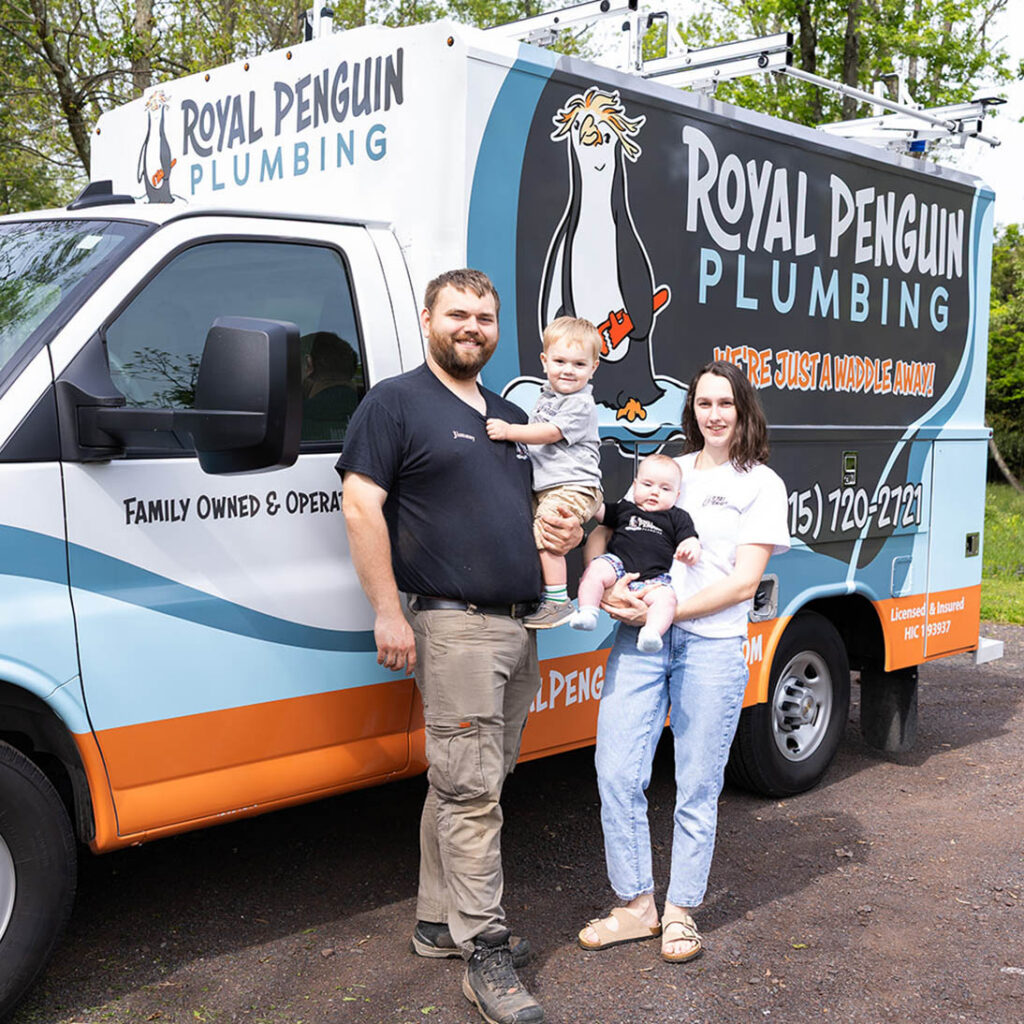 about royal penguin